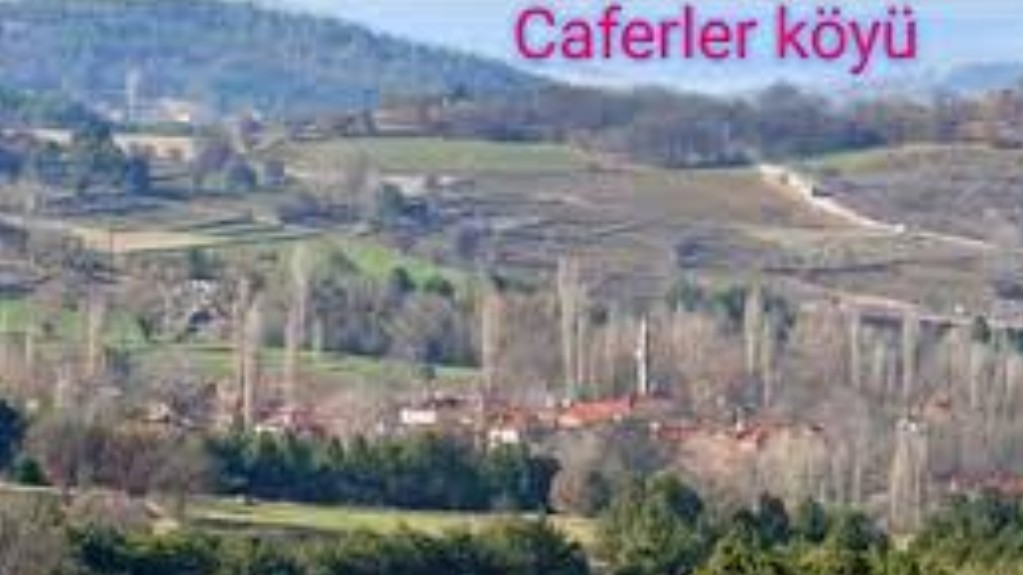 BİLECİK YENİPAZAR CAFERLER KÖYÜNDE 1.576 M² TARLA SATILIKTIR - BİLECİK YENİPAZAR fotoğraf 5